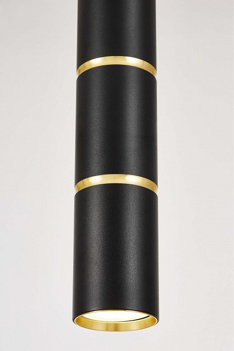 Подвесной светильник Lampit NATI TP TK40-P300 BK+GD, фото 5