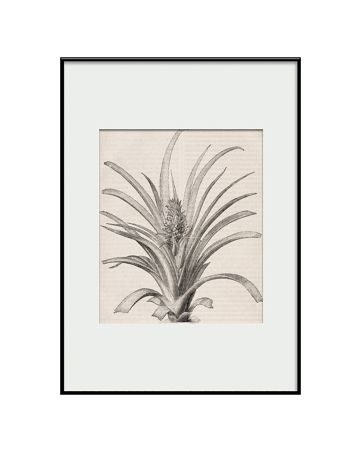 Интерьерный постер “Pineapple”, фото 2