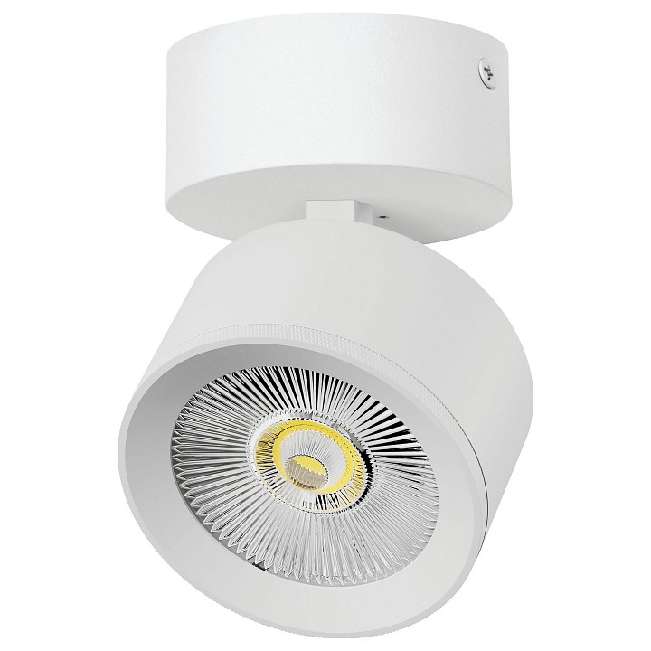 Спот Lightstar Alta Pro A5546SO, фото 1