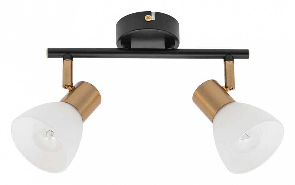 Спот Arte Lamp Falena A3117PL-2BK, фото 3