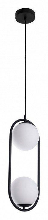 Подвесной светильник Arte Lamp Matisse A7745SP-2BK, фото 3