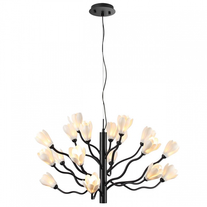 Подвесная люстра Odeon Light Gardi 5090/18, фото 4