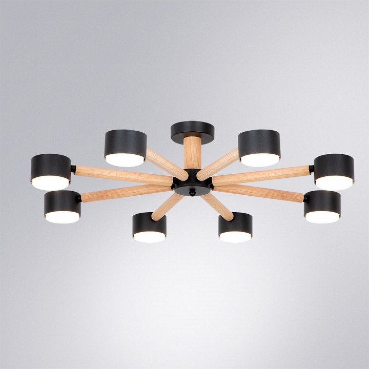 Потолочная люстра Arte Lamp TENDA A1624PL-8BK, фото 2