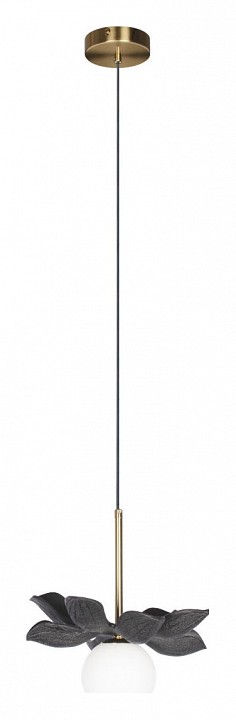 Фото 3