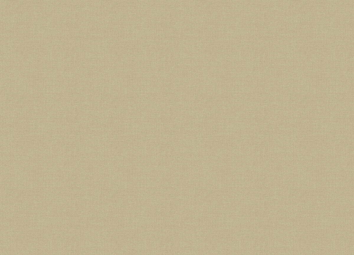 Z57758 Обои Zambaiti (1*6) 10,05x0,53 винил на флизелине, фото 2
