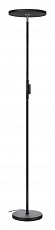 Торшер Lussole LSP-0901, фото 1