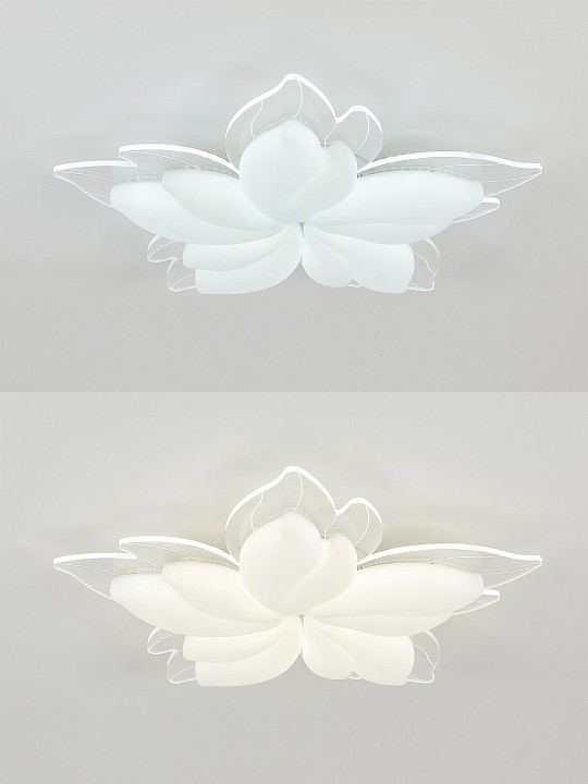 Фото 6
