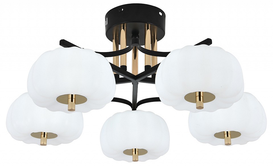 Фото 4