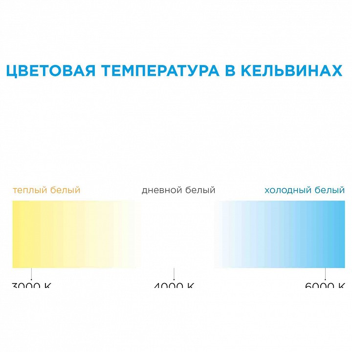 Фото 9