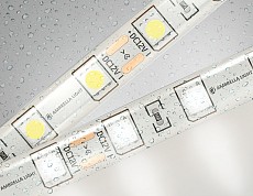 Лента светодиодная Ambrella Light GS GS2102, фото 1