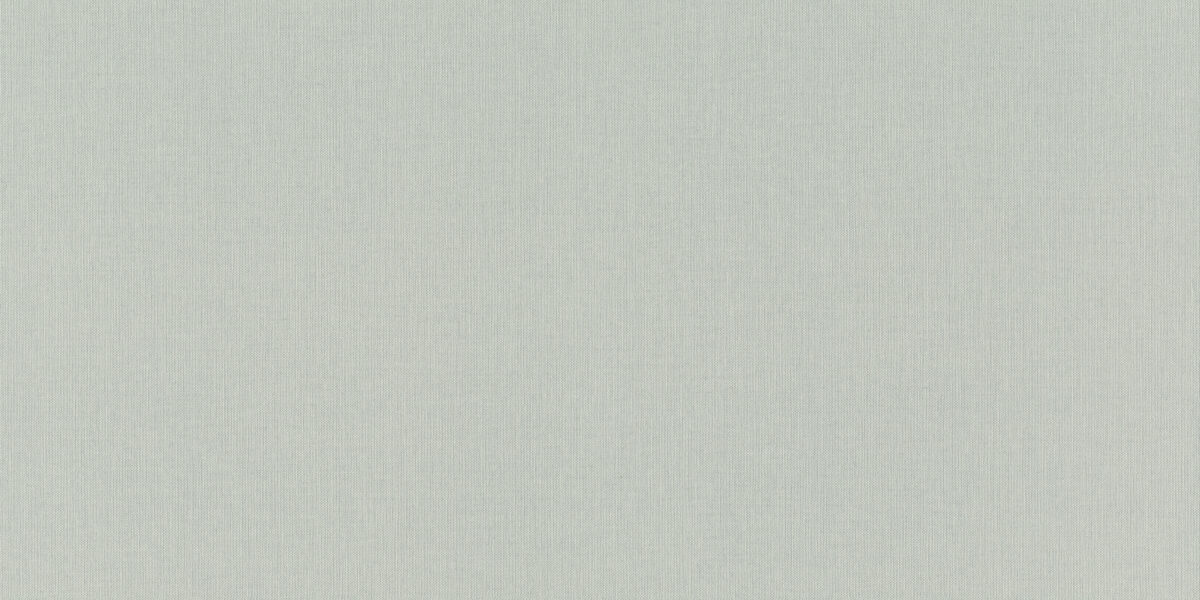 960792 Обои Rasch (1*6) 10,05x1,06 винил на флизелине, фото 1