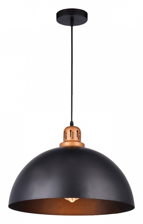 Подвесной светильник Arte Lamp Eurica A4249SP-1BK, фото 3