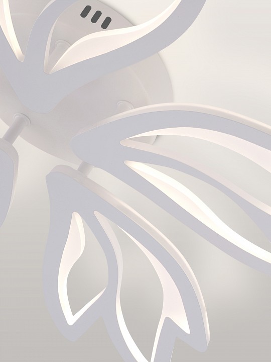 Фото 10