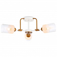 Потолочная люстра Ambrella Light TR TR303321, фото 1