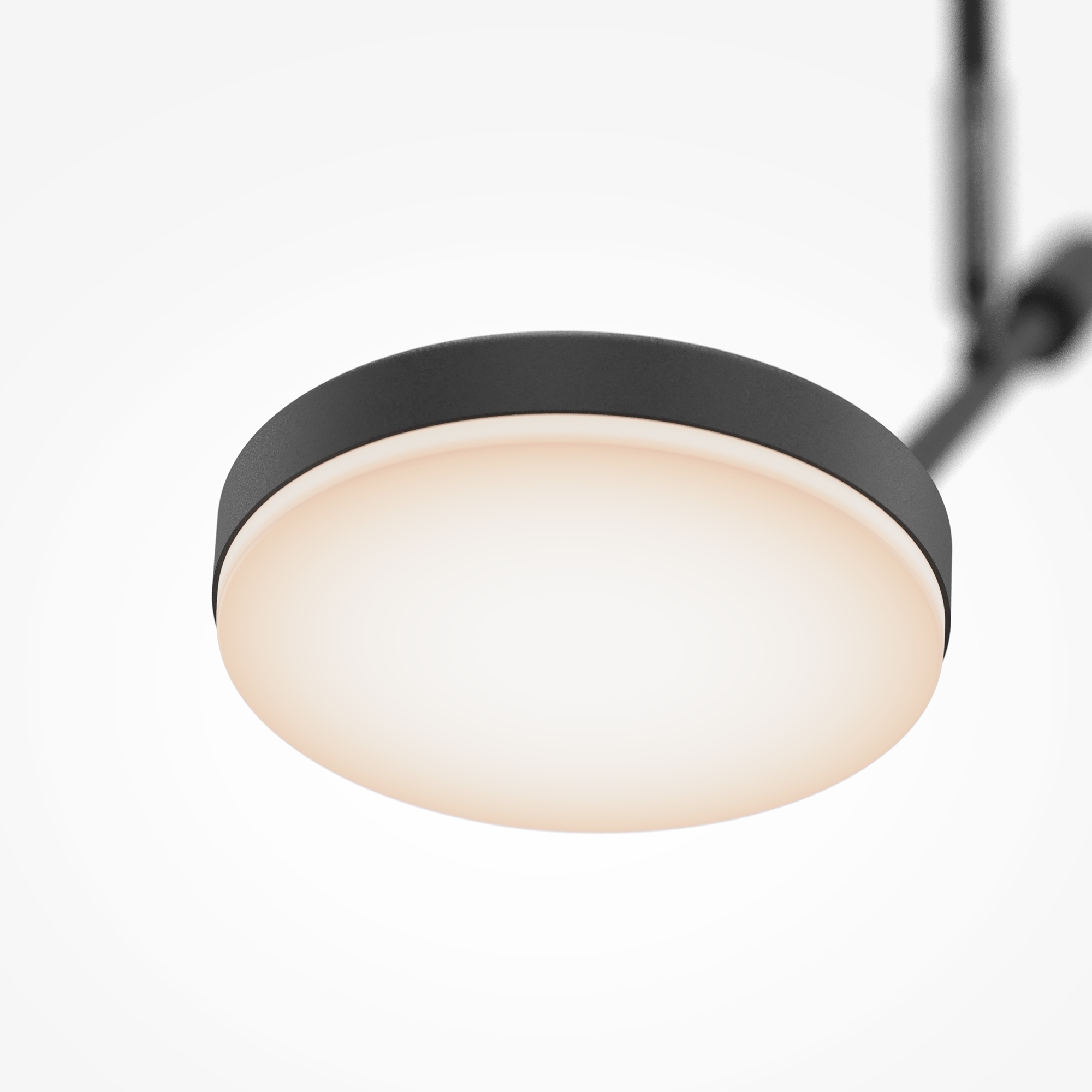 Потолочный светильник Maytoni MOD070CL-L8B3K, фото 3