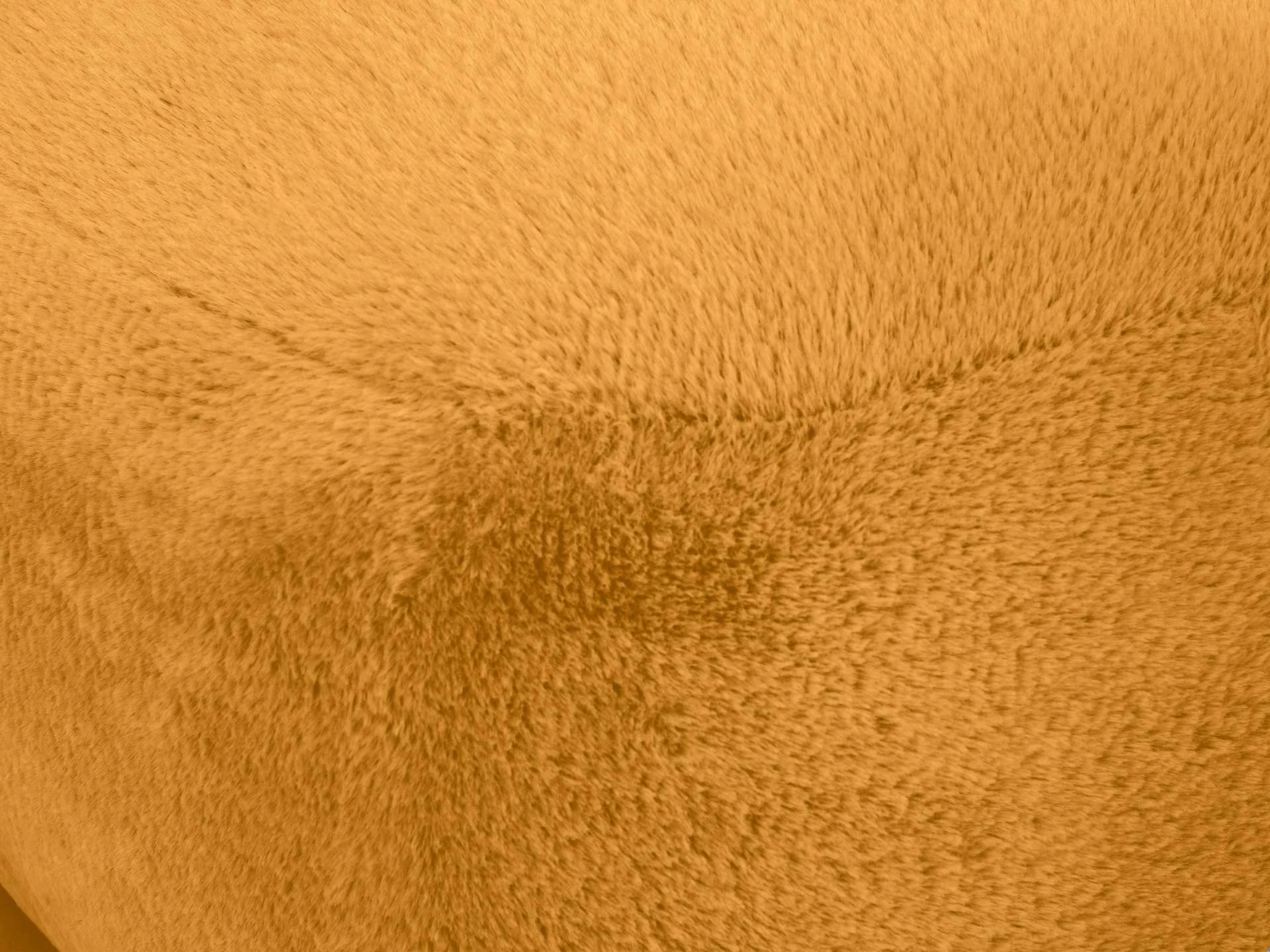 Фото 6