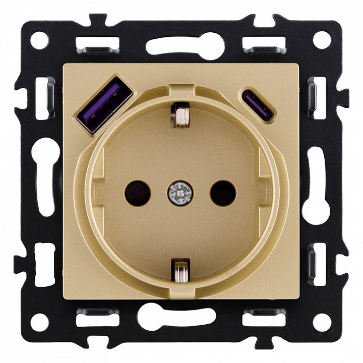 Розетка с заземлением и со шторкой и 2хUSB type A и C, без рамки Kollinger Asthetik AS-016GD, фото 1