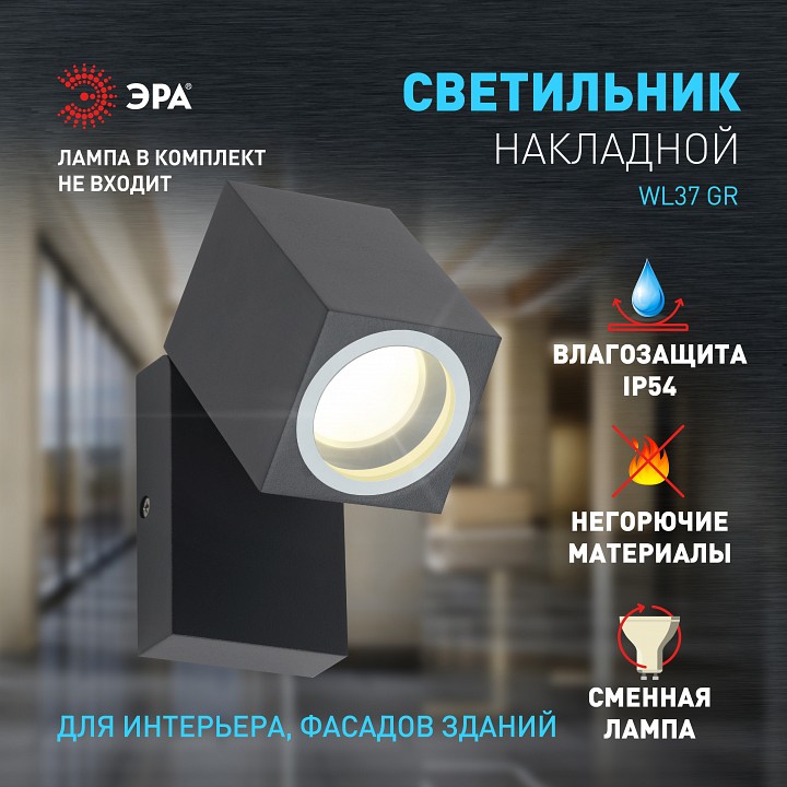 Светильник на штанге Эра WL37 GR Б0054409, фото 3