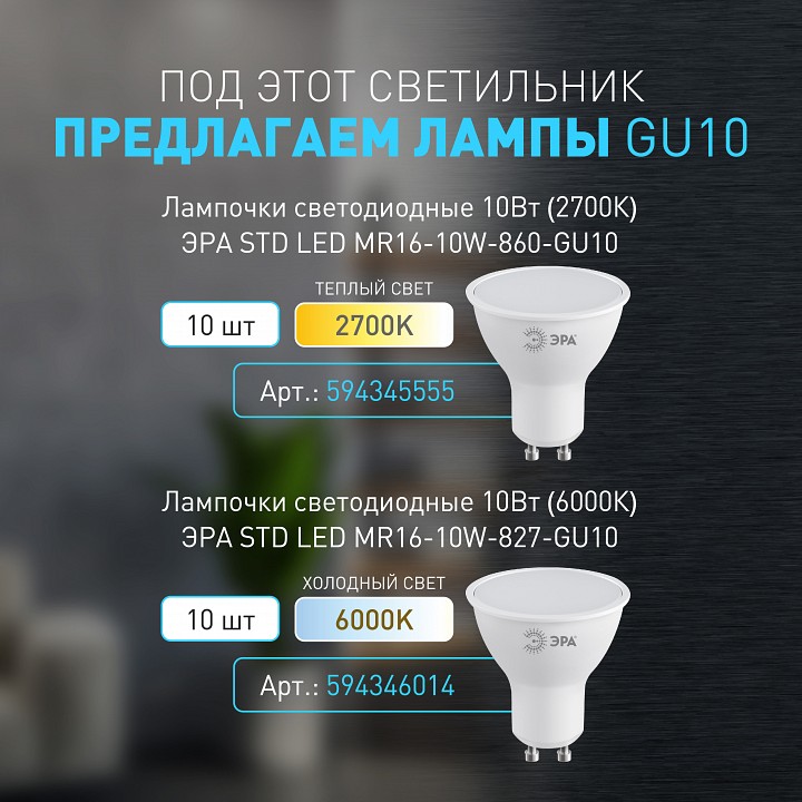 Светильник на штанге Эра WL37 GR Б0054409, фото 5