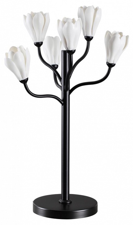 Настольная лампа декоративная Odeon Light Gardi 5090/6T, фото 2