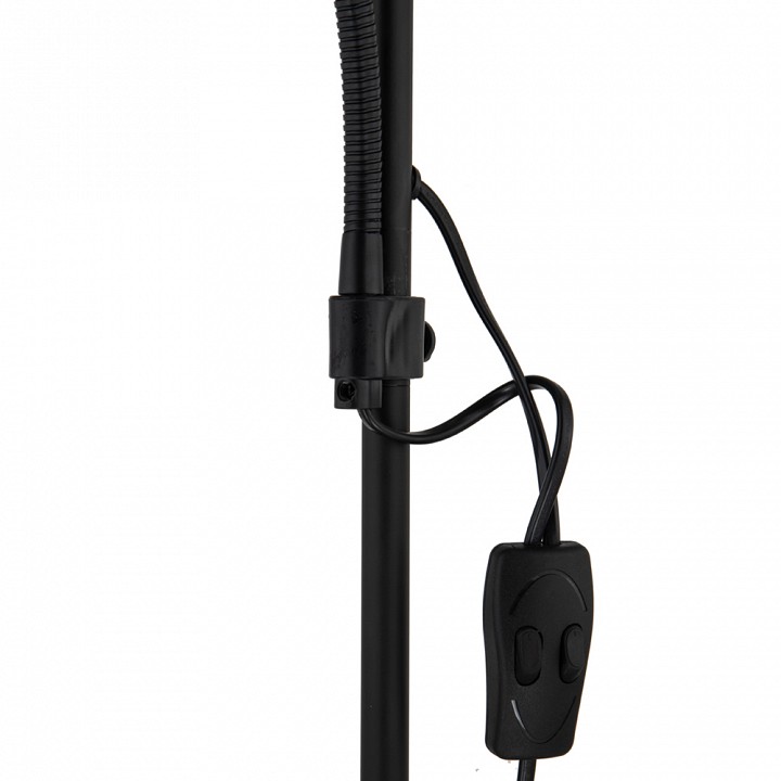 Торшер с подсветкой Arte Lamp Duetto A9569PN-2BK, фото 4