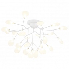 Потолочная люстра Ambrella Light TR TR3011, фото 1