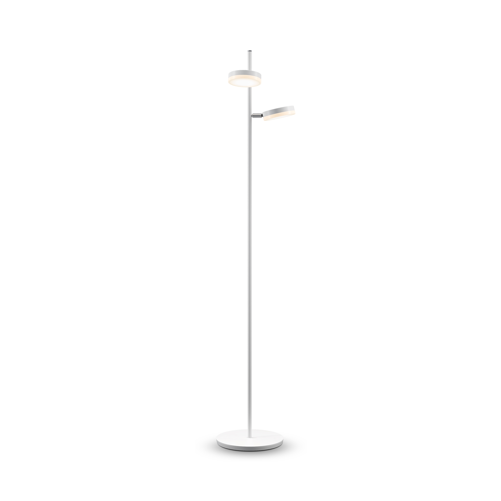 Напольный светильник (торшер) Maytoni MOD070FL-L12W3K, фото 1