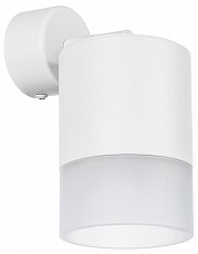 Спот Lightstar Rullo RBX348681