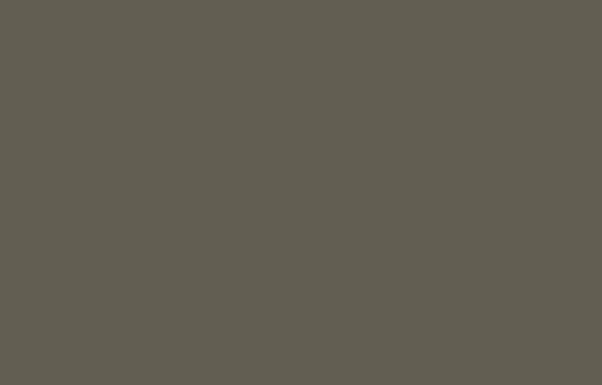 Обои HYGGE Roll (Nature) арт Hg40 005/1 флизелин, рулон 10,05х1,00 (1*6), фото 1