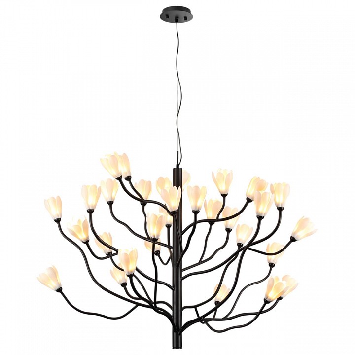 Подвесная люстра Odeon Light Gardi 5090/30, фото 4