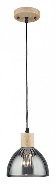 Подвесной светильник Arte Lamp Lancaster A5869SP-1BK, фото 3
