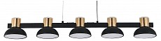 Подвесной светильник Indigo Traforo 11059/5PL Black