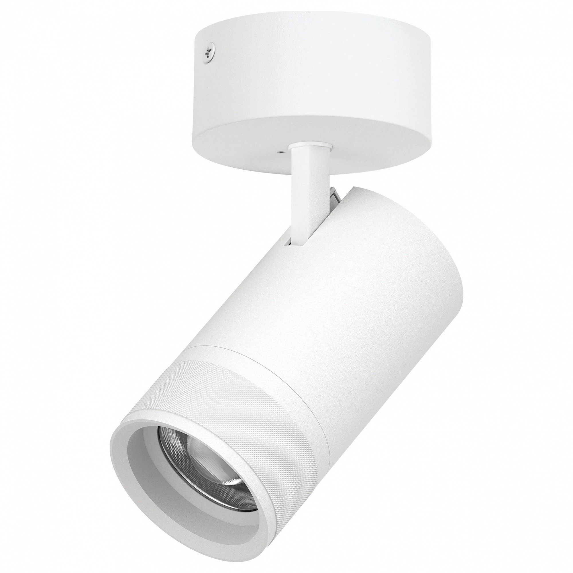 Спот Lightstar Canno Pro C4406SO, фото 1