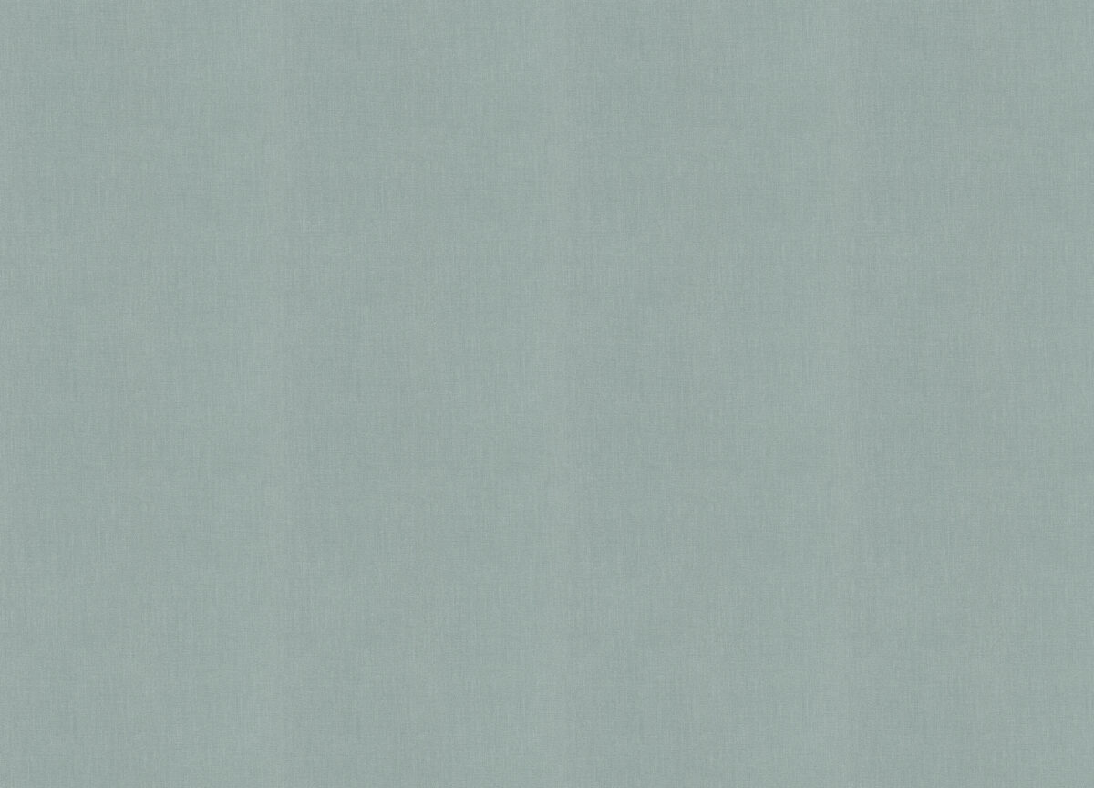 633665 Обои Rasch (1*12) 10,05x0,53 винил на флизелине, фото 2