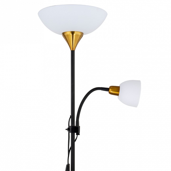 Торшер с подсветкой Arte Lamp Duetto A9569PN-2BK, фото 3