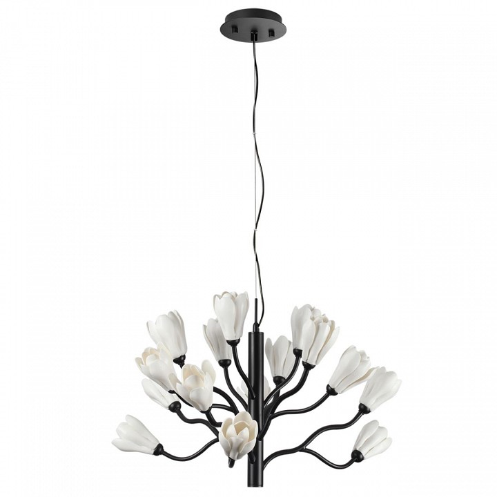 Подвесная люстра Odeon Light Gardi 5090/15, фото 5