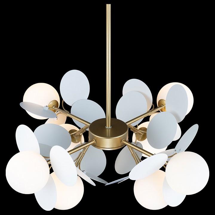 Фото 7