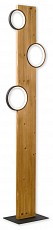 Торшер Lussole LSP-0905, фото 1