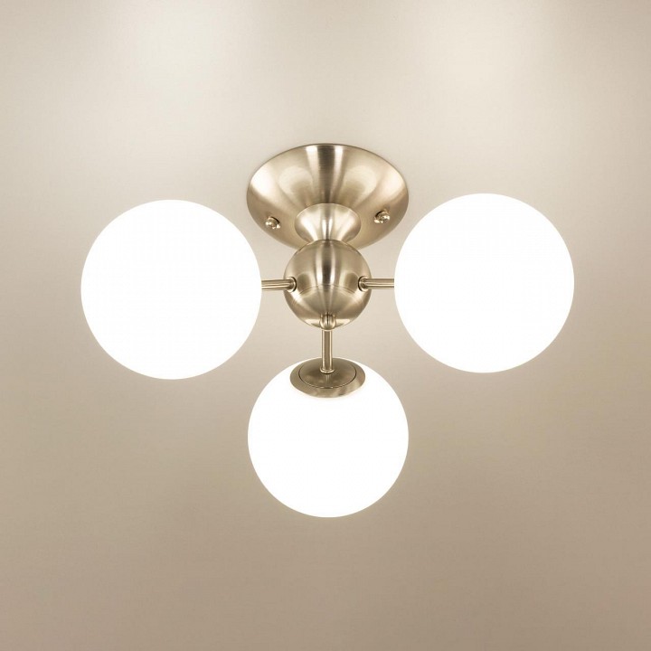 Фото 9