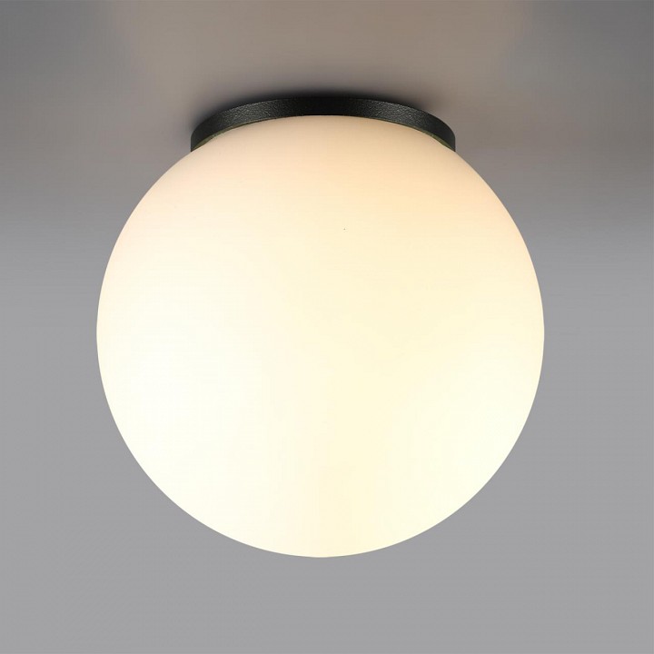 Накладной светильник Odeon Light NATURE 7124/1C, фото 4