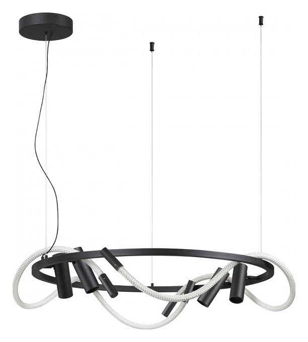 Подвесная люстра Odeon Light Corda 4391/55L, фото 5