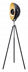 Торшер Lussole GRLSP-9824, фото 1