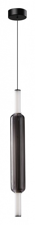 Подвесной светильник Arte Lamp Rigla A6840SP-12SM, фото 3