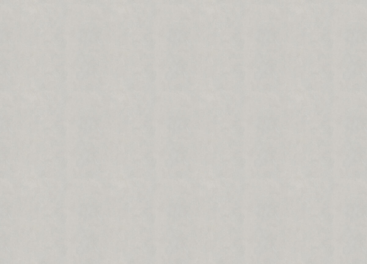 R 25501 Обои Fipar (1*4) 10,05х1,06 винил на флизелине, фото 2