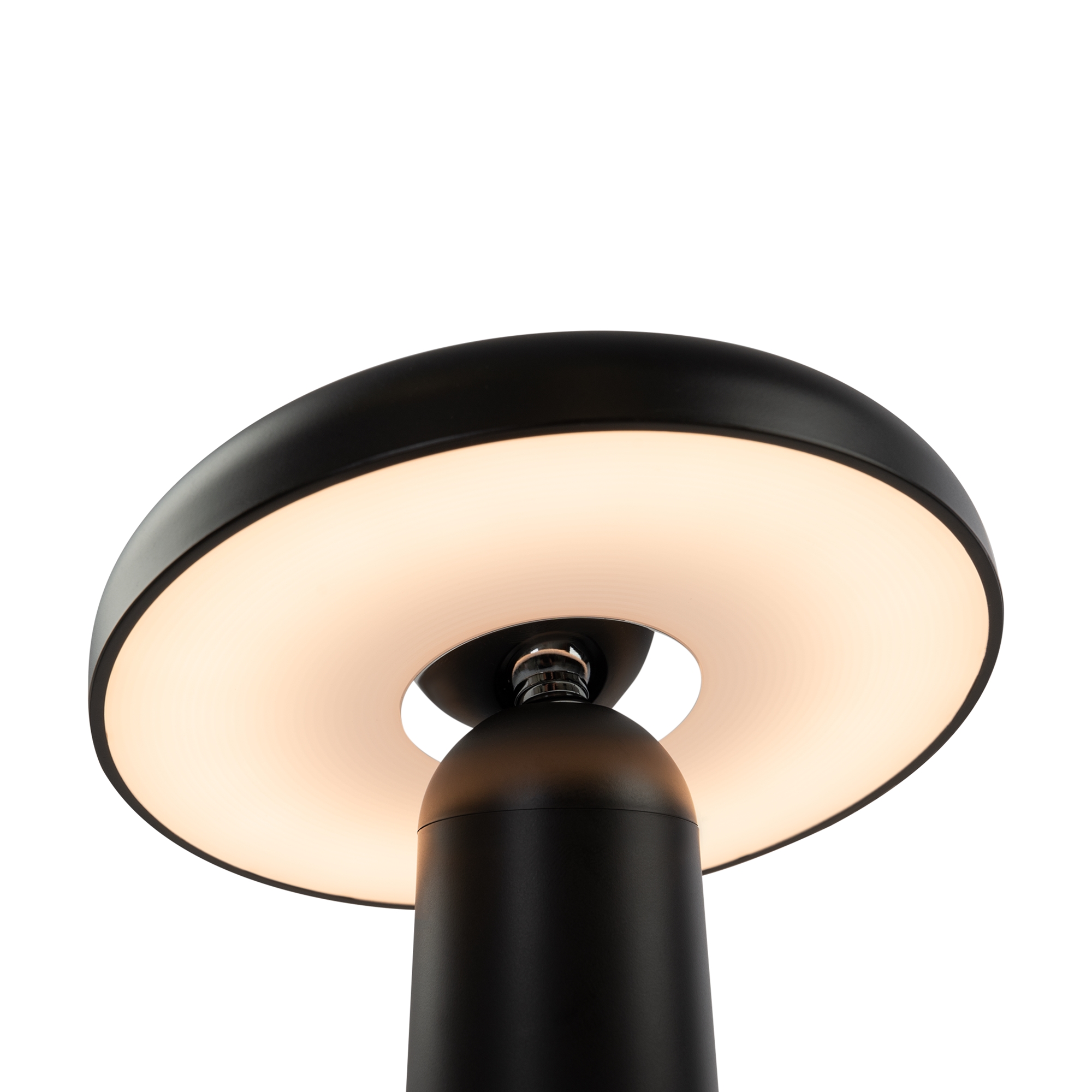 Аккумуляторный светильник Freya FR6109TL-L4B, фото 4