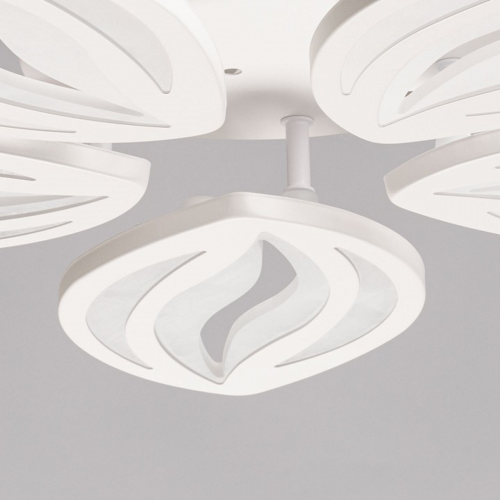 Фото 7
