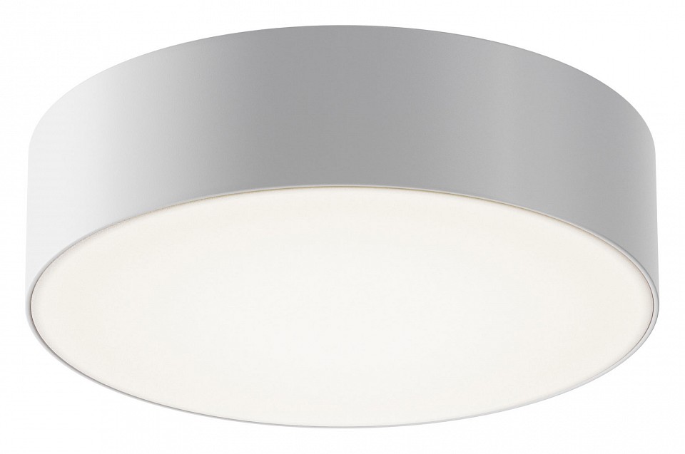 Накладной светильник Maytoni Outdoor Zon IP O431CL-L30W4K, фото 1