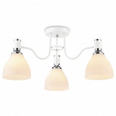 Потолочная люстра Ambrella Light TR TR303302, фото 1