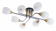 Потолочная люстра Arte Lamp Andrea A8141PL-8BK
