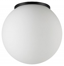 Накладной светильник Odeon Light NATURE 7124/1C, фото 1